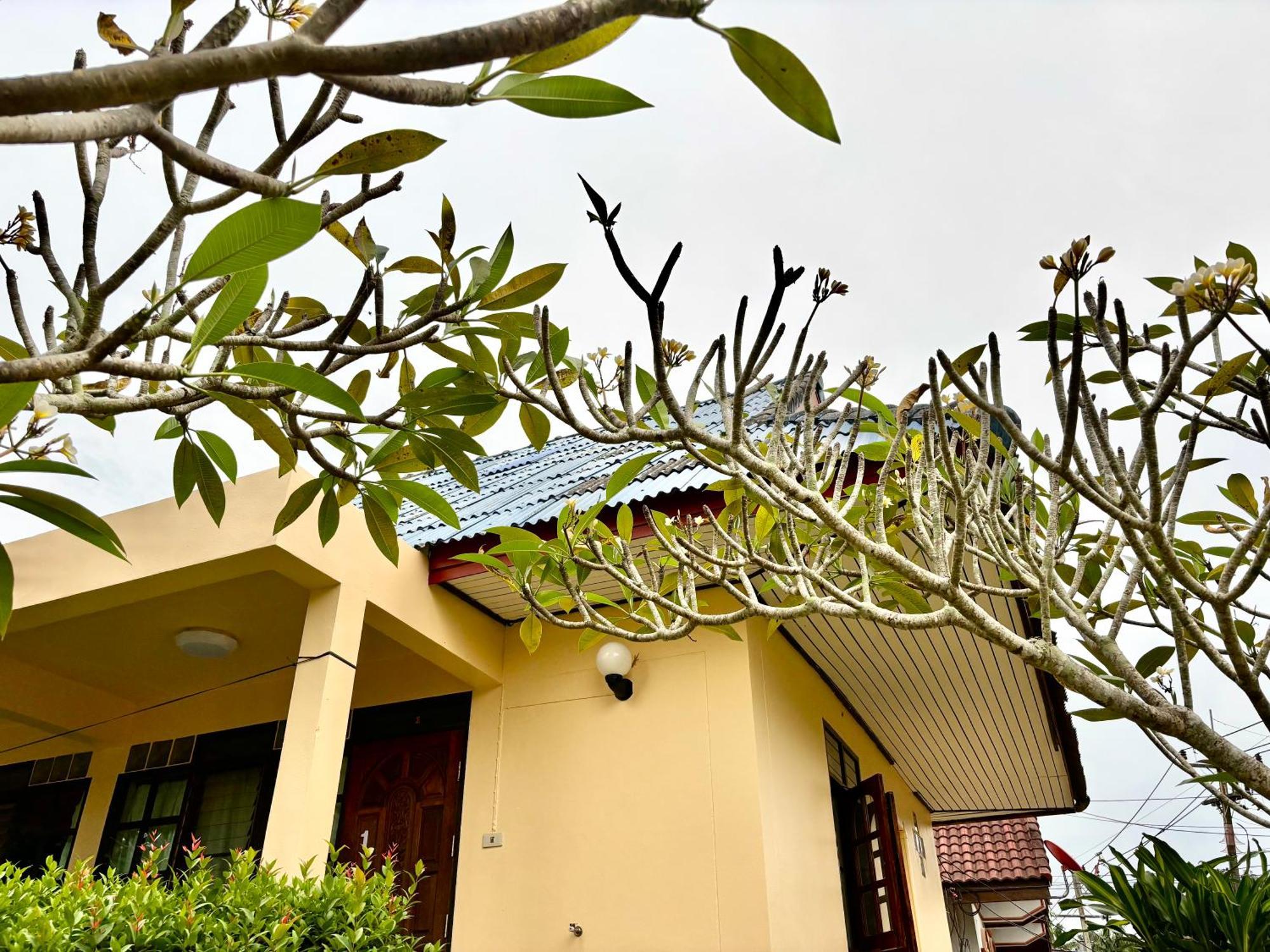 קו לנטה Sea Sun Bungalow מראה חיצוני תמונה